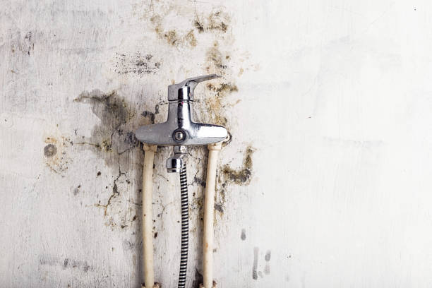 Professional Mold Removal in Midway, UT