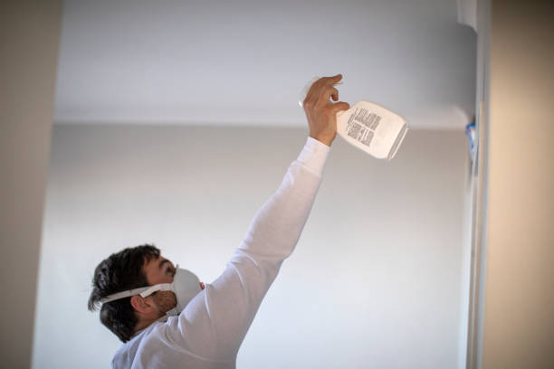 Best Mold Remediation  in Midway, UT