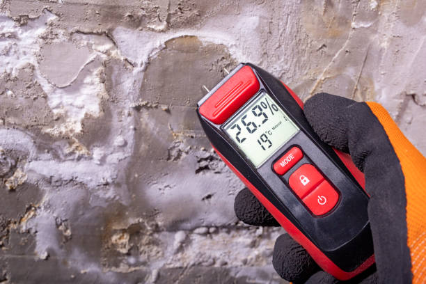 Office Mold Removal Services in Midway, UT