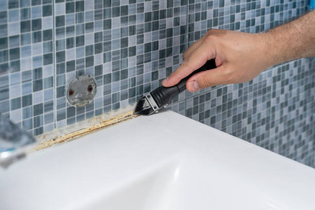 Best Mold Cleaning Services  in Midway, UT