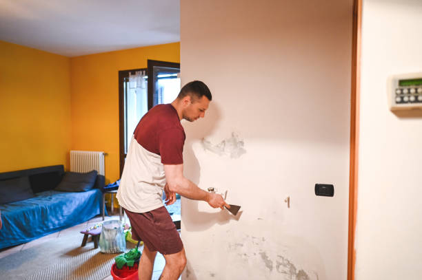 Mold Testing and Removal in Midway, UT