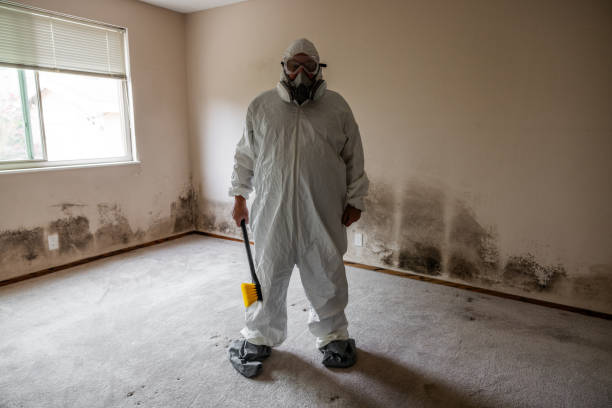 Best Residential Mold Removal  in Midway, UT